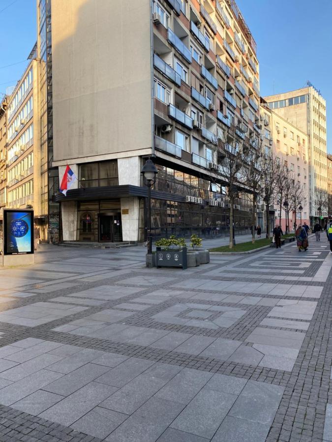 Dragon * Belgrad